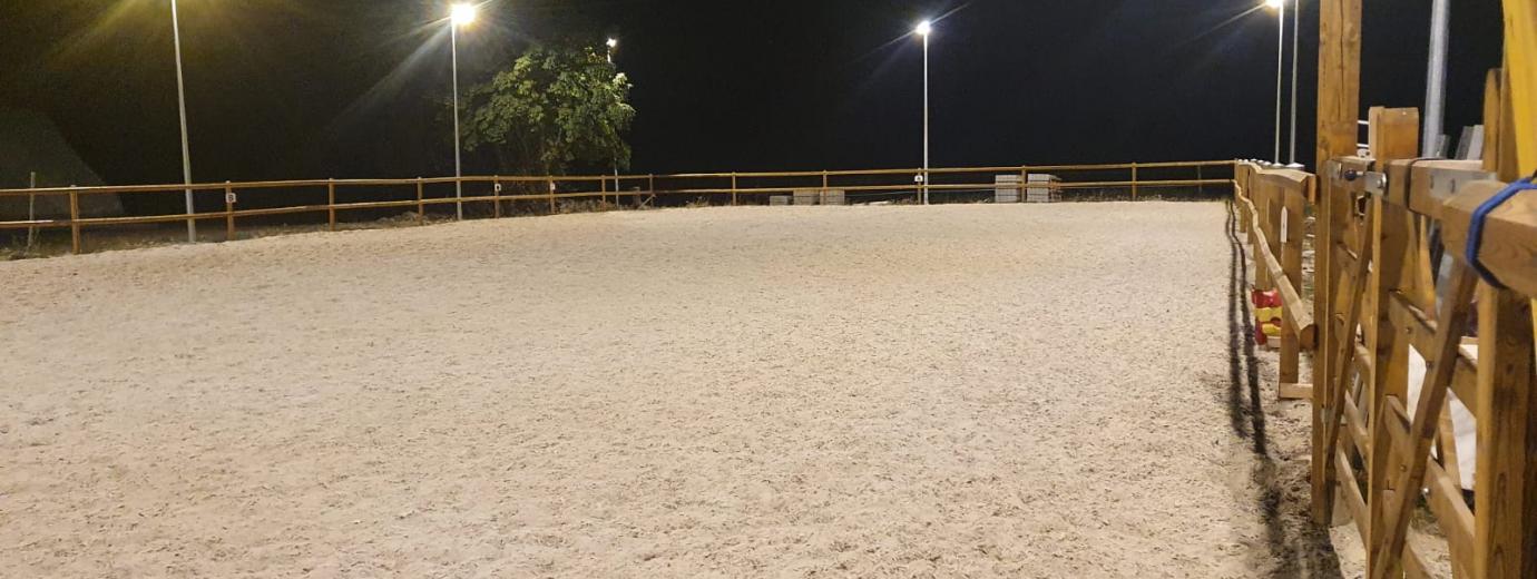 Reitplatz 20x40 mit Flutlicht
